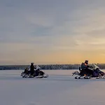 Arctic Treehouse Hotel 5*