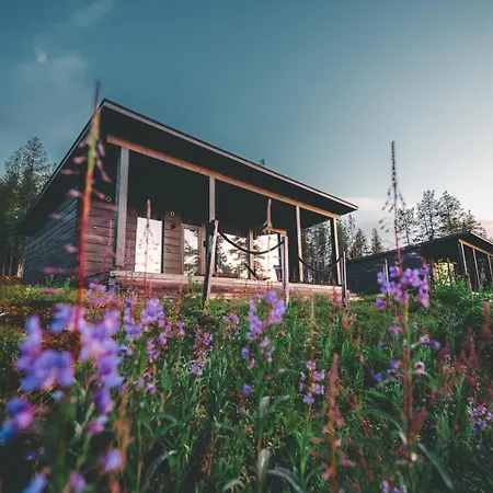 Arctic Treehouse Hotel