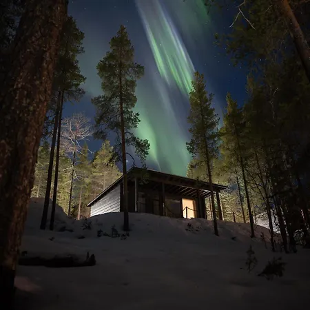 Arctic Treehouse 5* Rovaniemi