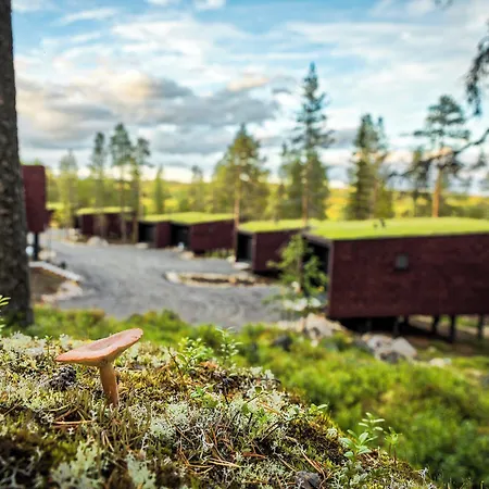 Hotel Arctic Treehouse