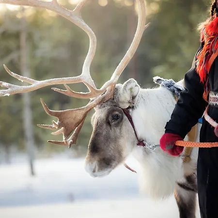 Arctic Treehouse Rovaniemi