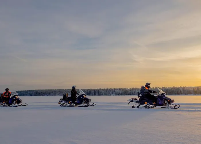 Arctic Treehouse Hotel 5*