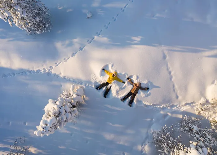 Arctic Treehouse Hotel Rovaniemi