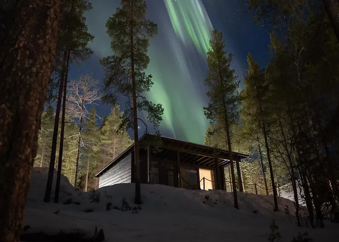 Arctic Treehouse 5* Rovaniemi